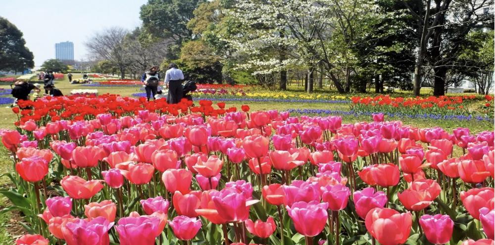 5cf7b625 264e 4dcb b199 2465ad2c803f